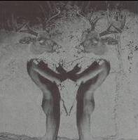 Deerhunter : Turn It Up Faggot